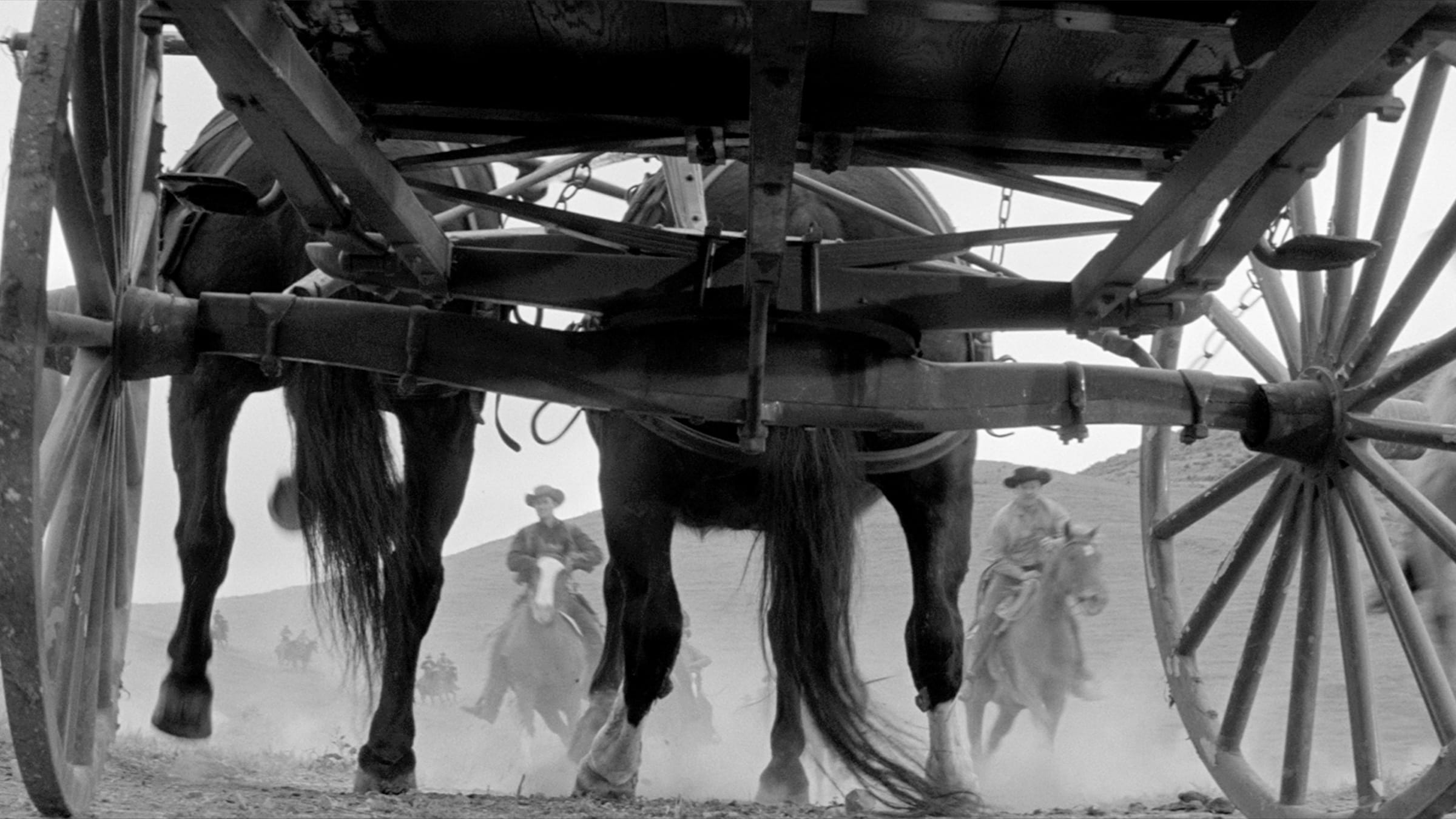 Forty Guns (1957)